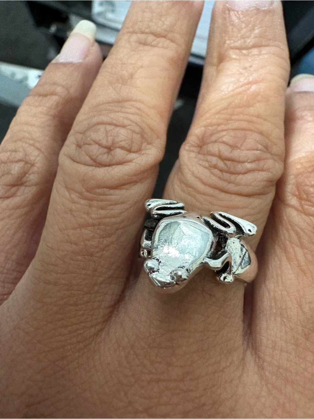 Sterling Silver Frog Wrap Ring - Silver